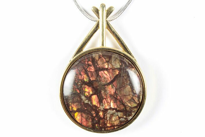 Brilliant Ammolite Pendant (Necklace) - Alberta, Canada #352199